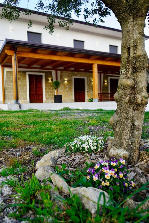 Bed and Breakfast Atomos Alvignano Esterno foto