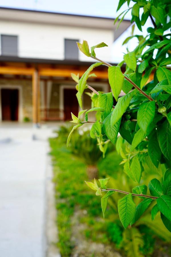 Bed and Breakfast Atomos Alvignano Esterno foto